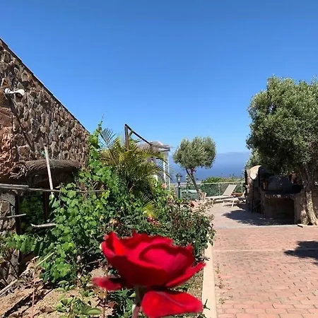 Cantos Del Grillo אינחניו