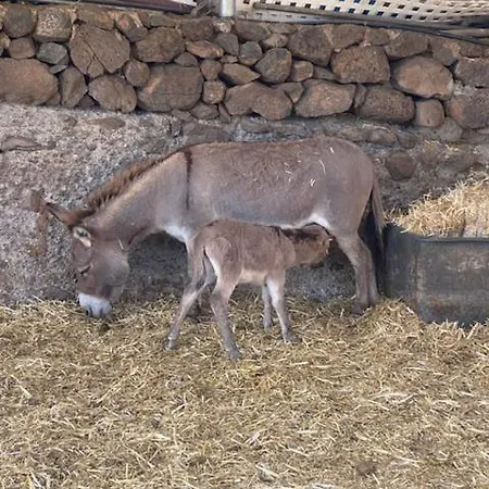 Cantos Del Grillo Villa *
